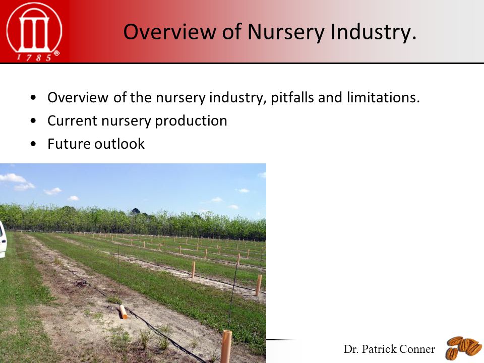 Pecan Nurseries Expanding Or Contracting Dr Patrick Conner Overview Of Nursery Industry The Pitfalls And Limitations
