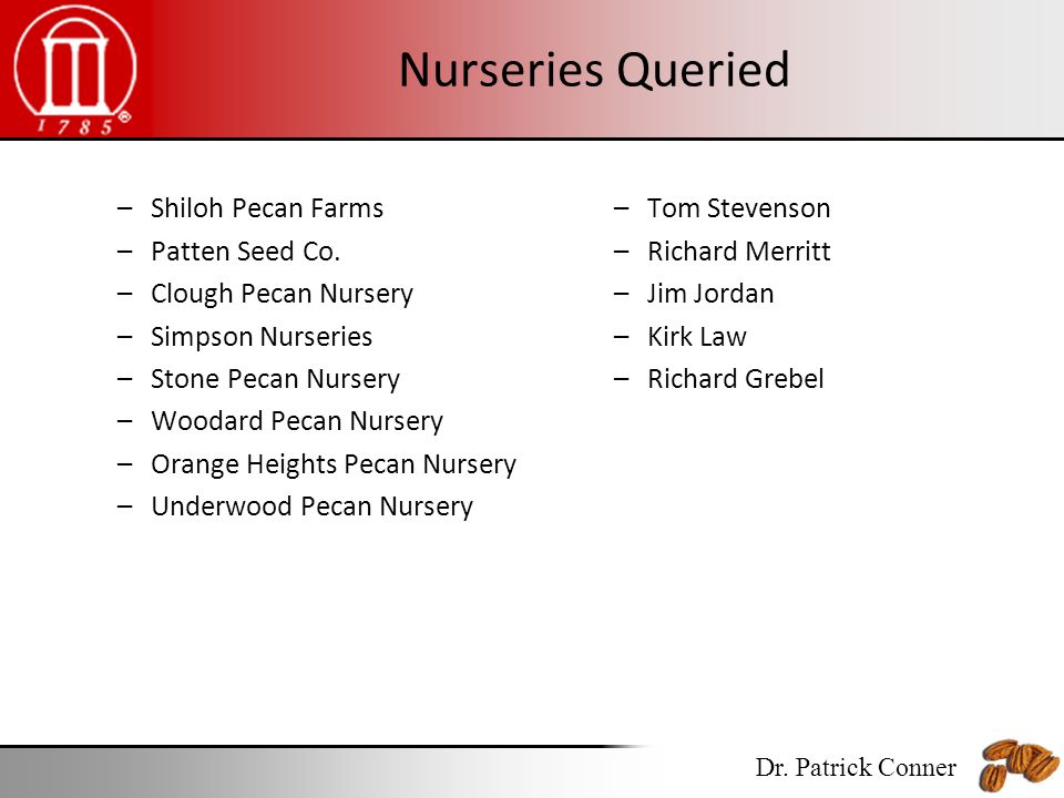 Pecan Nurseries Expanding Or Contracting Dr Patrick Conner 9 Nurseries Queried Shiloh Pecan