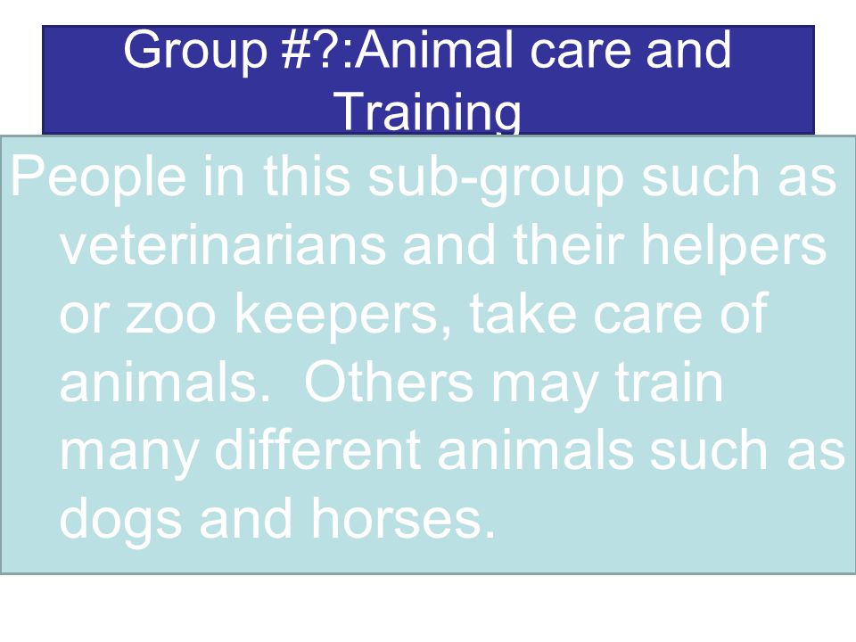 Group # :Animal care and Training People in this sub-group such as veterinarians and their helpers or zoo keepers, take care of animals.