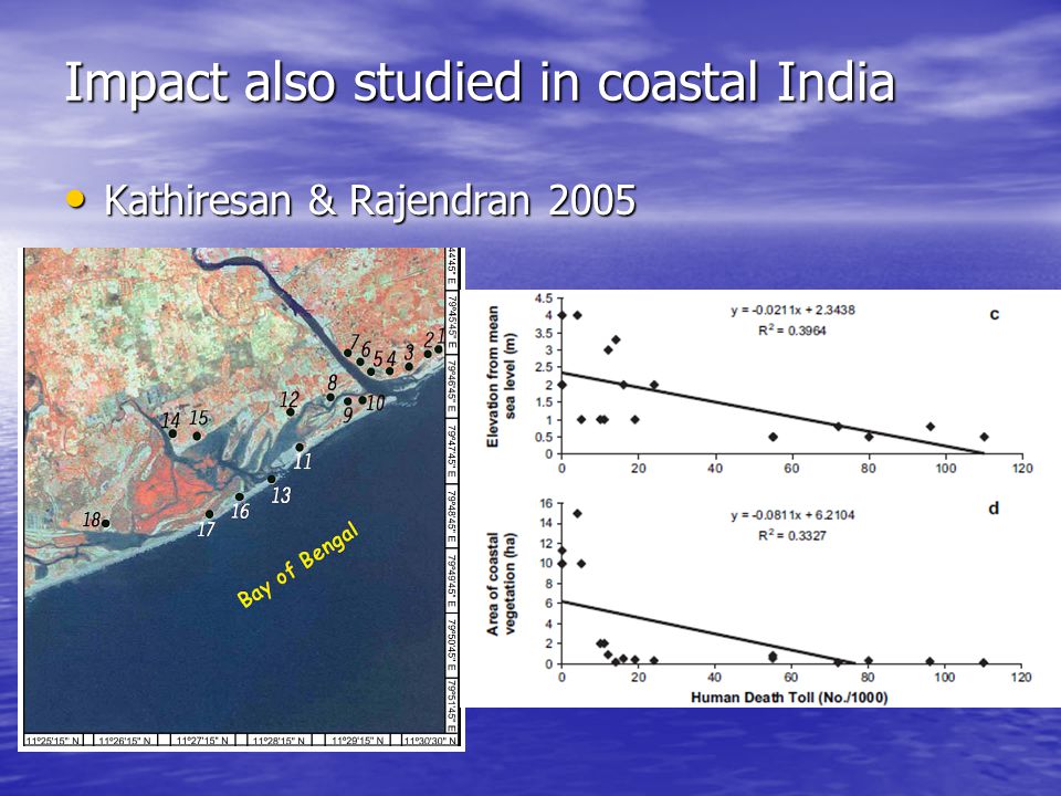 Impact also studied in coastal India Kathiresan & Rajendran 2005 Kathiresan & Rajendran 2005