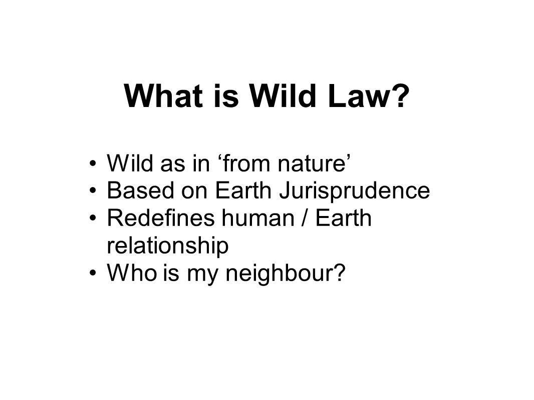 What is Wild Law.
