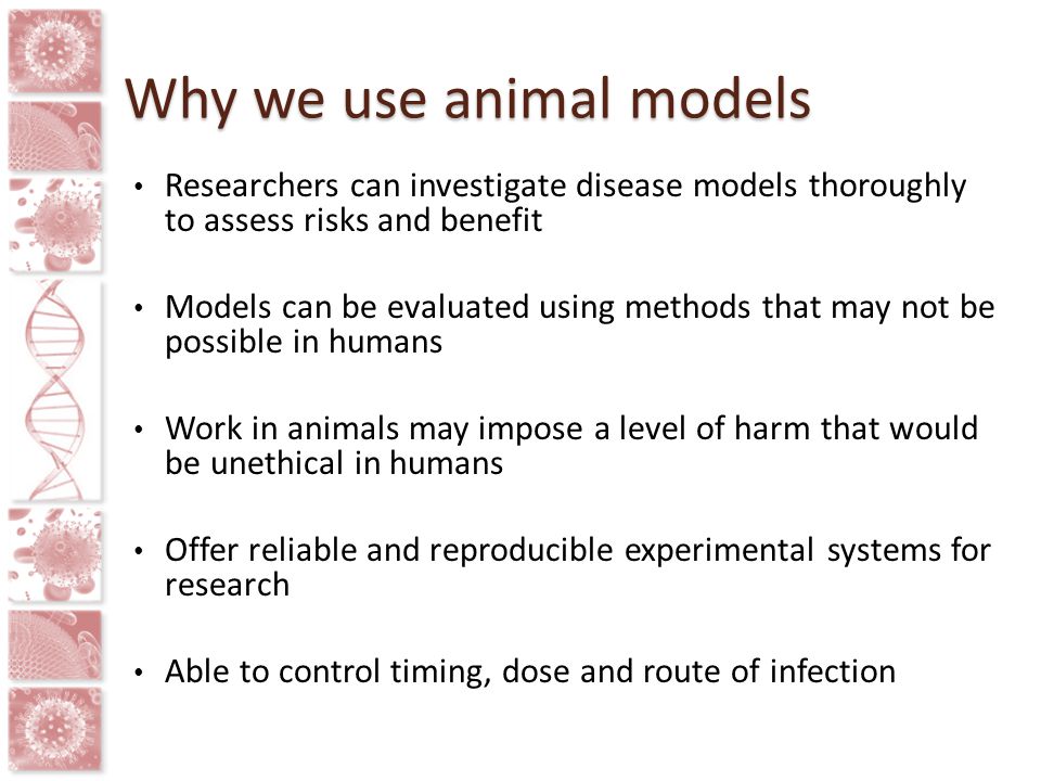 ANIMAL MODELS HIV Cure Research Training Curriculum The HIV CURE training  curriculum is a collaborative project aimed at making HIV cure research  science. - ppt download