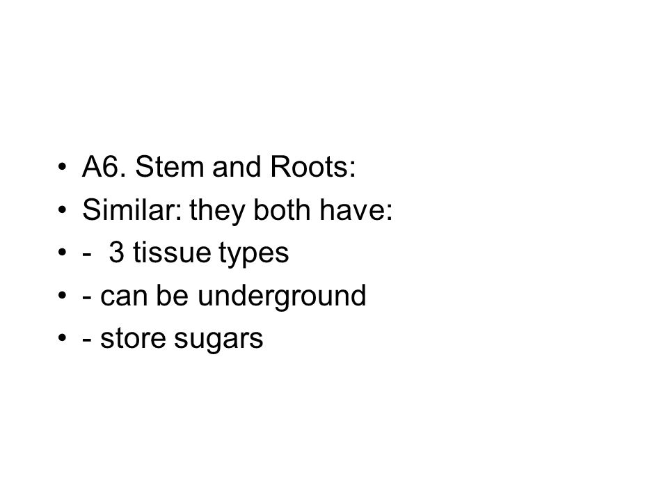 A6. Stem and Roots: Similar: they both have: - 3 tissue types - can be underground - store sugars