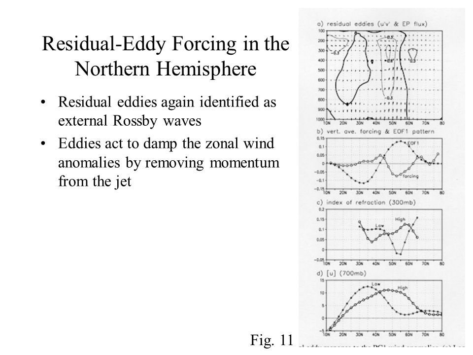 Residual-Eddy Forcing in the Northern Hemisphere Residual eddies again identified as external Rossby waves Eddies act to damp the zonal wind anomalies by removing momentum from the jet Fig.