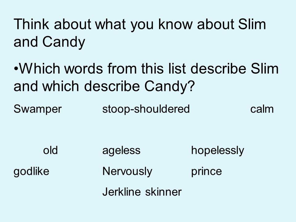 Think about what you know about Slim and Candy Which words from this list describe Slim and which describe Candy.
