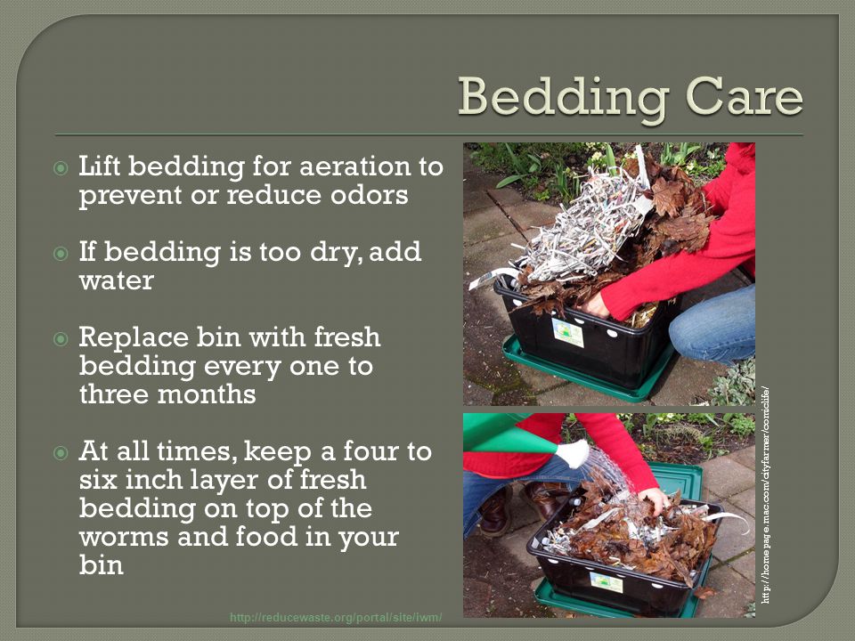  Lift bedding for aeration to prevent or reduce odors  If bedding is too dry, add water  Replace bin with fresh bedding every one to three months  At all times, keep a four to six inch layer of fresh bedding on top of the worms and food in your bin