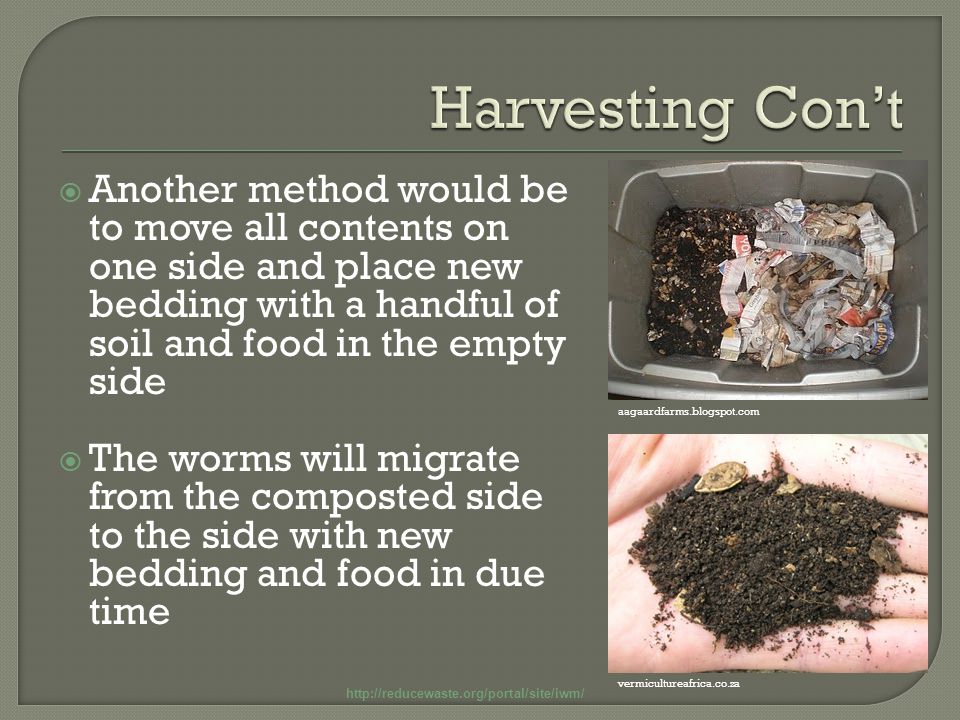  Another method would be to move all contents on one side and place new bedding with a handful of soil and food in the empty side  The worms will migrate from the composted side to the side with new bedding and food in due time aagaardfarms.blogspot.com vermicultureafrica.co.za