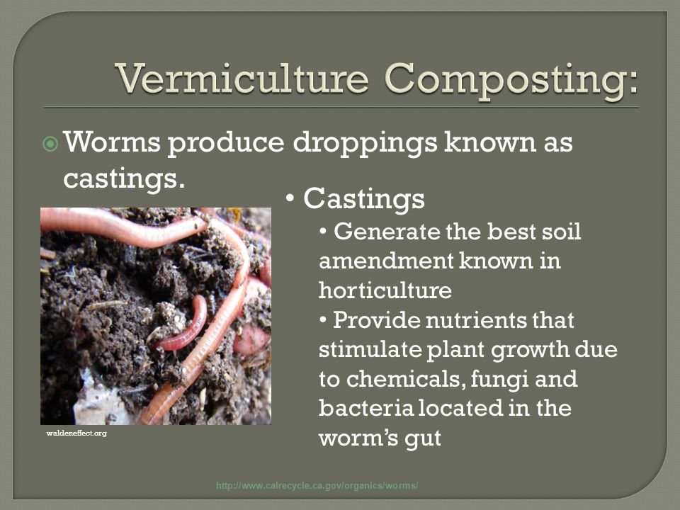  Worms produce droppings known as castings.