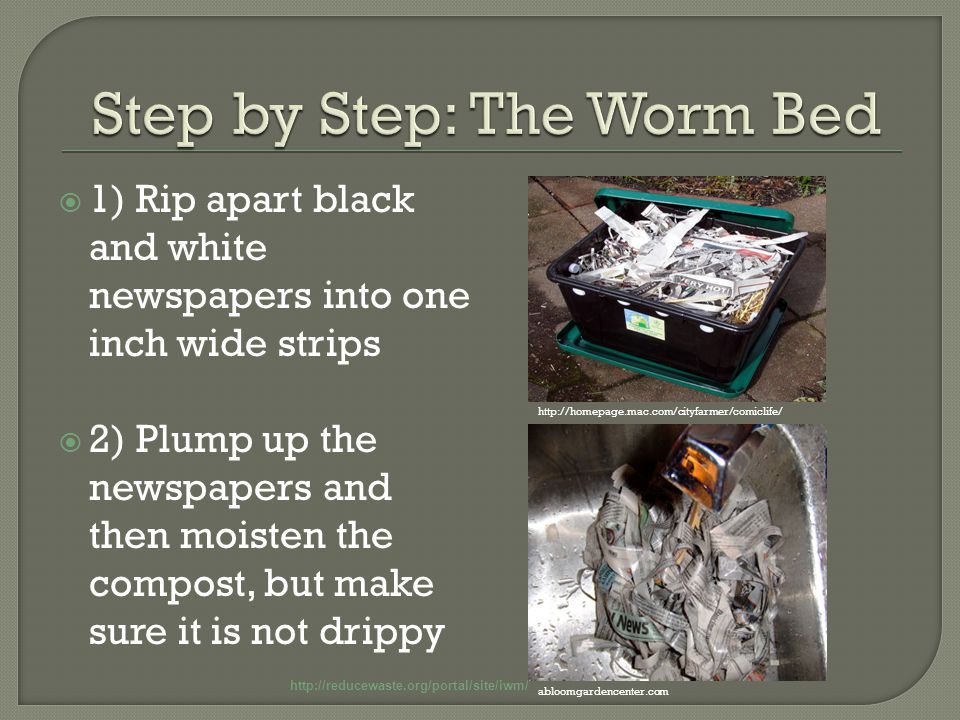  1) Rip apart black and white newspapers into one inch wide strips  2) Plump up the newspapers and then moisten the compost, but make sure it is not drippy   abloomgardencenter.com