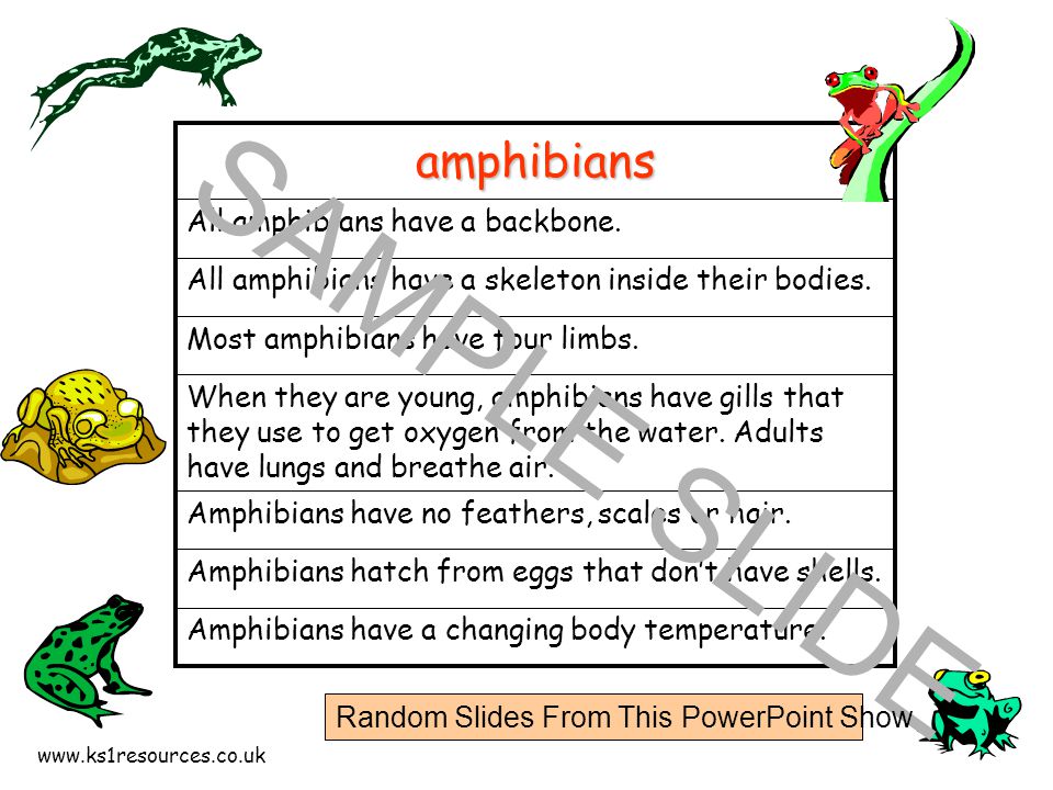 Amphibians have a changing body temperature.