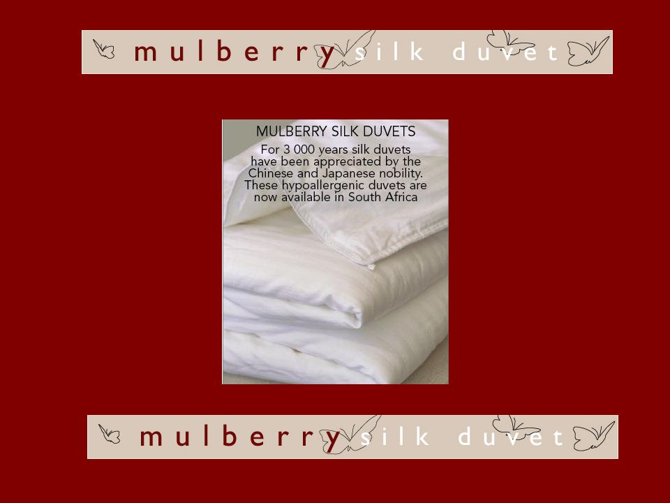Mulberry Silk Duvets Silk Duvets Are A Luxury Once Appreciated