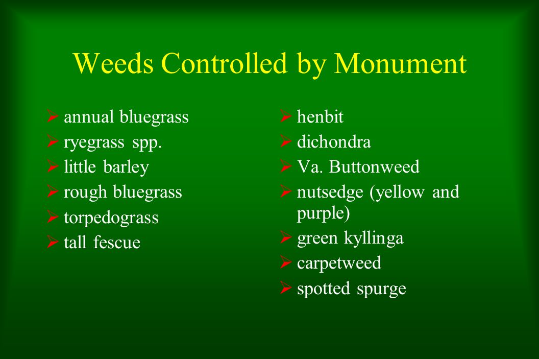 Weeds Controlled by Monument  annual bluegrass  ryegrass spp.