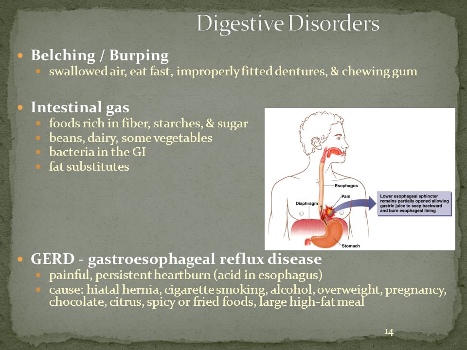 14 Belching / Burping swallowed air, eat fast, improperly fitted dentures, & chewing gum Intestinal gas foods rich in fiber, starches, & sugar beans, dairy, some vegetables bacteria in the GI fat substitutes GERD - gastroesophageal reflux disease painful, persistent heartburn (acid in esophagus) cause: hiatal hernia, cigarette smoking, alcohol, overweight, pregnancy, chocolate, citrus, spicy or fried foods, large high-fat meal