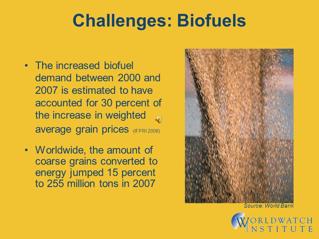 Challenges: Biofuels