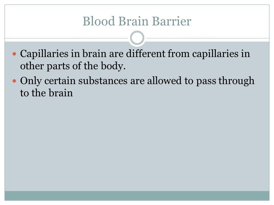 Blood Brain Barrier Capillaries in brain are different from capillaries in other parts of the body.