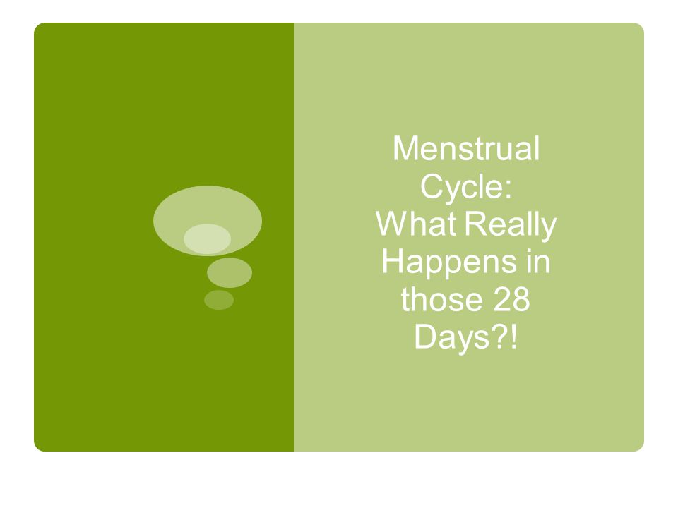 Menstrual Cycle: What Really Happens in those 28 Days !