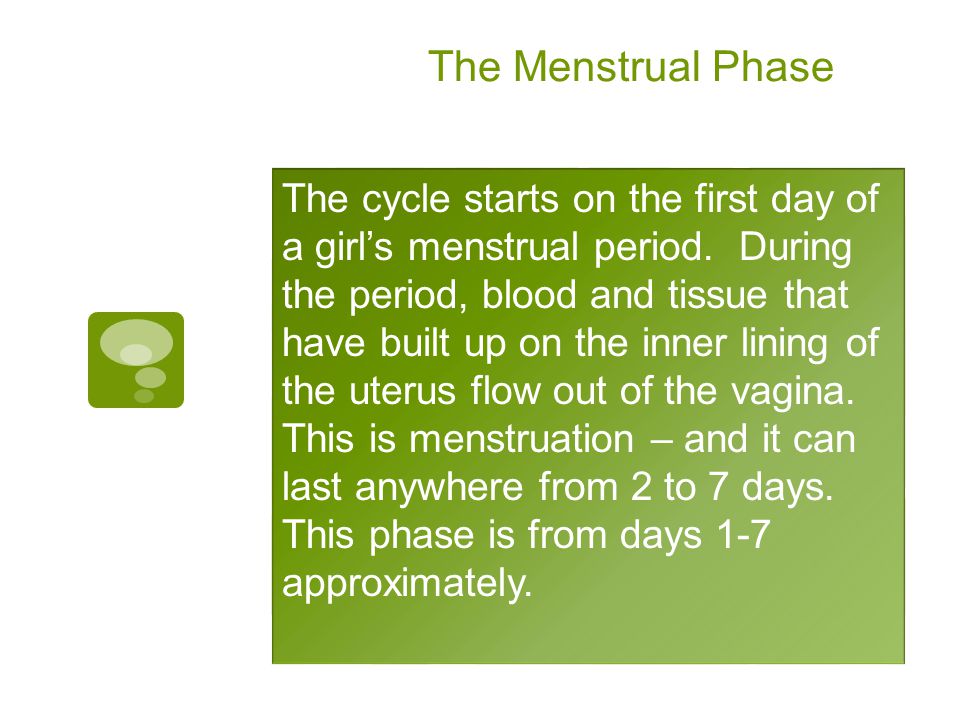 The Menstrual Phase The cycle starts on the first day of a girl’s menstrual period.