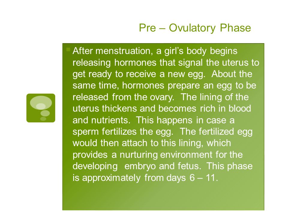 Pre – Ovulatory Phase  After menstruation, a girl’s body begins releasing hormones that signal the uterus to get ready to receive a new egg.