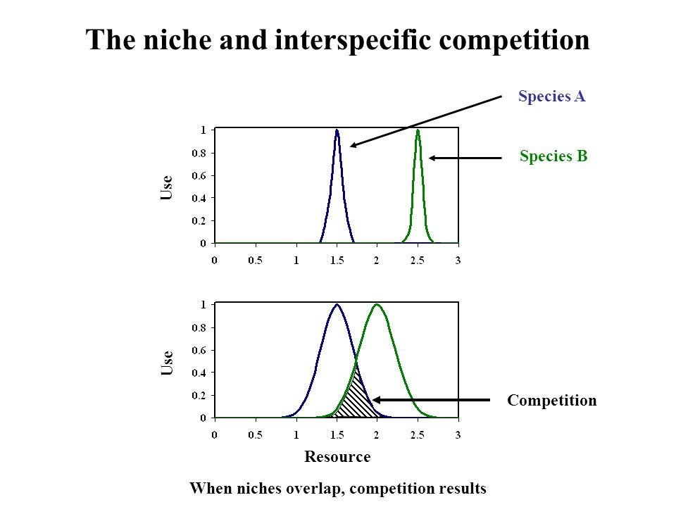 Interspecific Competition The Niche And Interspecific Competition