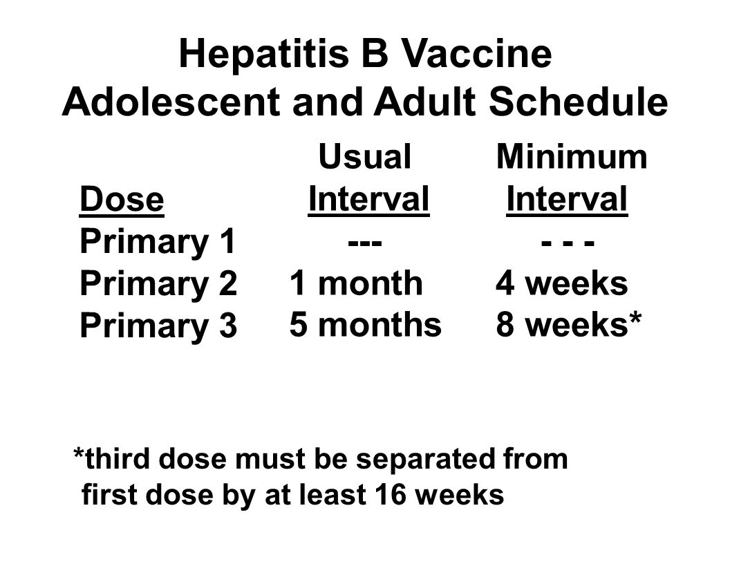 Dose Primary 1 Primary 2 Primary 3 Minimum Interval weeks 8 weeks* Usual Interval month 5 months Hepatitis B Vaccine Adolescent and Adult Schedule *third dose must be separated from first dose by at least 16 weeks