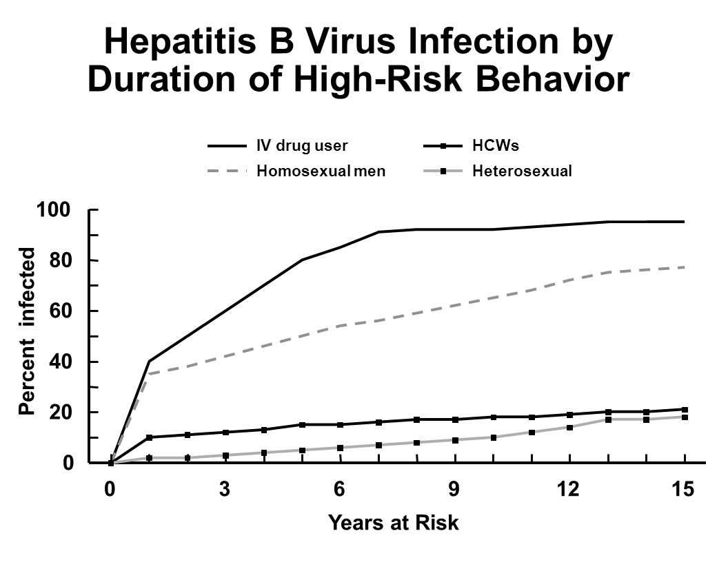 Hepatitis B Virus Infection by Duration of High-Risk Behavior Years at Risk Percent infected IV drug user Homosexual men HCWs Heterosexual