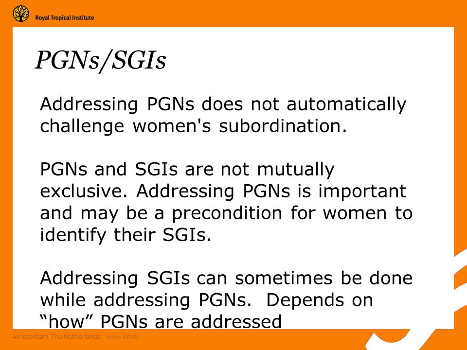 Amsterdam, The Netherlands   PGNs/SGIs Addressing PGNs does not automatically challenge women s subordination.