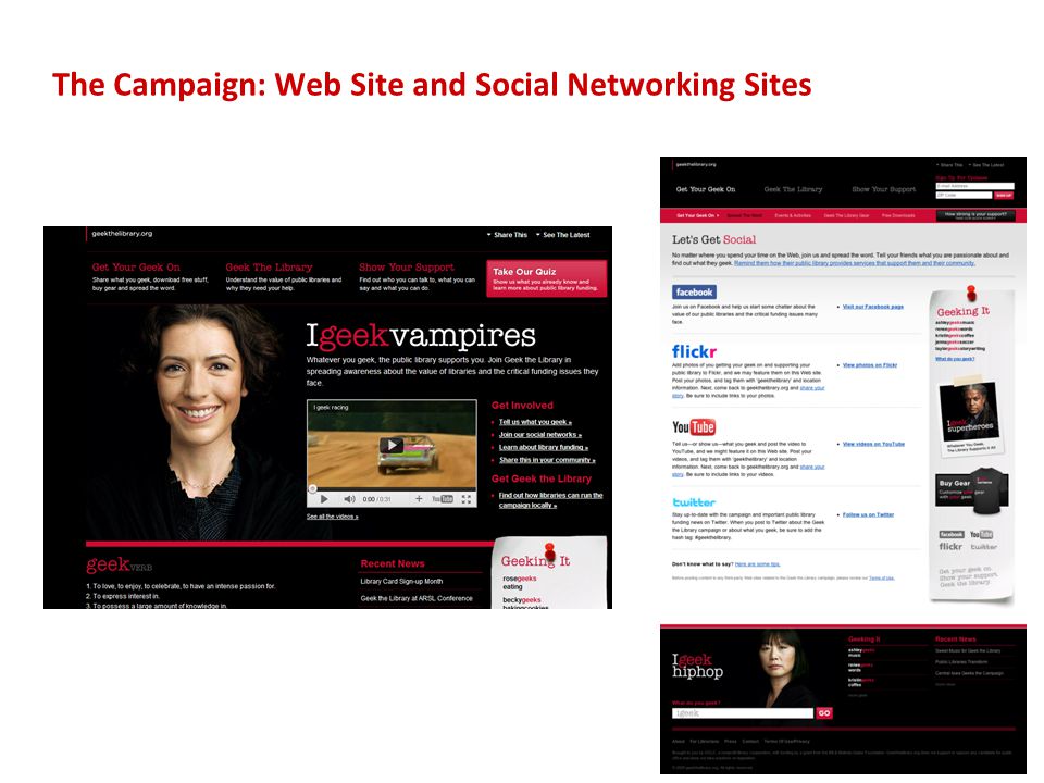 The Campaign: Web Site and Social Networking Sites 13