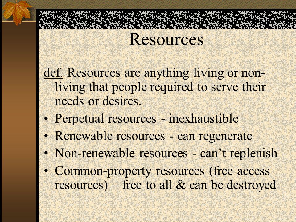 define perpetual resources