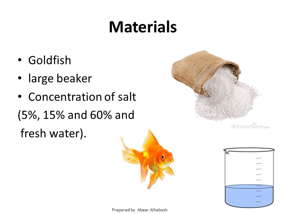 Materials Goldfish large beaker Concentration of salt (5%, 15% and 60% and fresh water).