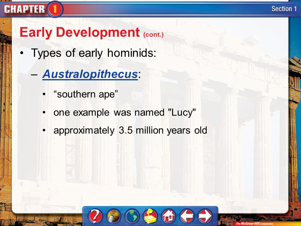 Section 1 Types of early hominids: –Australopithecus:Australopithecus Early Development (cont.) southern ape one example was named Lucy approximately 3.5 million years old