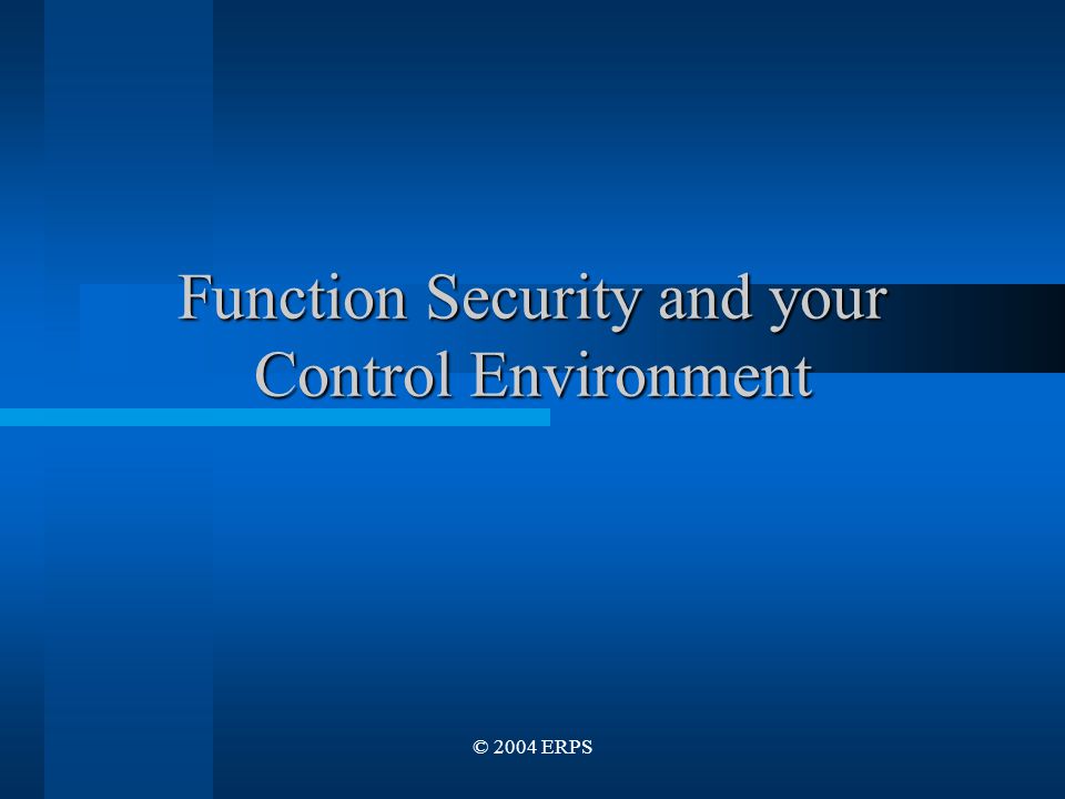 © 2004 ERPS Function Security and your Control Environment