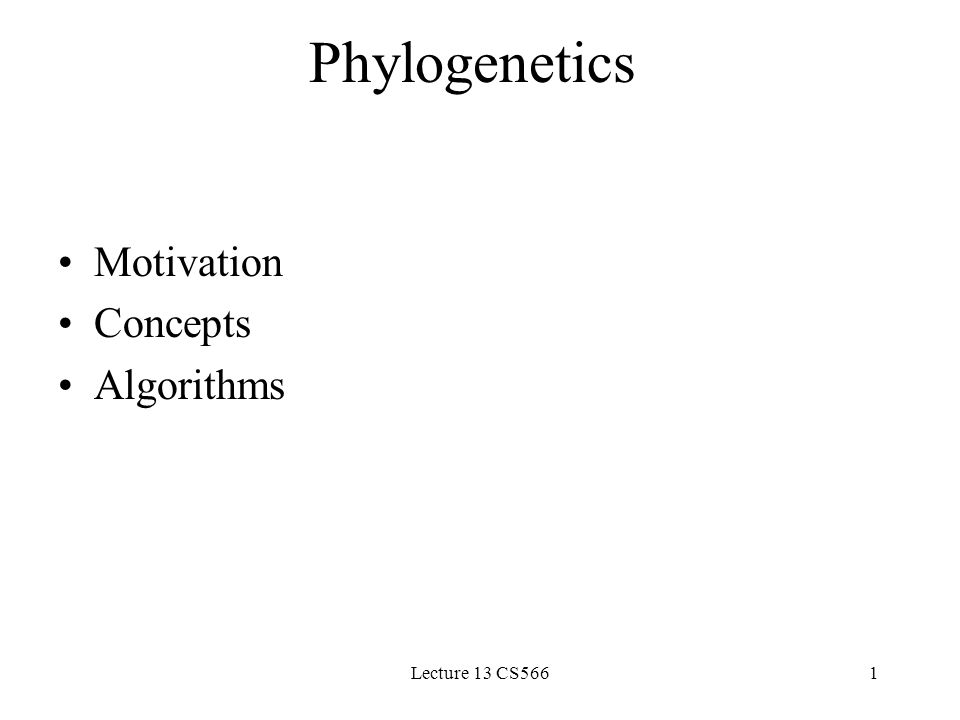 Lecture 13 CS5661 Phylogenetics Motivation Concepts Algorithms