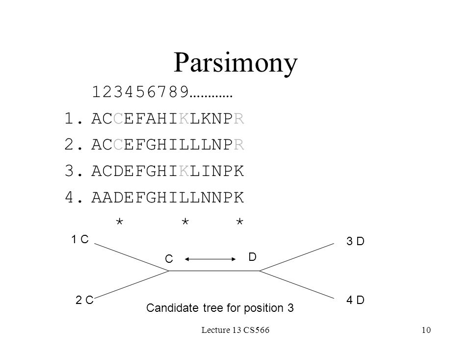 Lecture 13 CS56610 Parsimony ………… 1.ACCEFAHIKLKNPR 2.ACCEFGHILLLNPR 3.ACDEFGHIKLINPK 4.AADEFGHILLNNPK * * * 1 C 2 C 3 D 4 D Candidate tree for position 3 C D