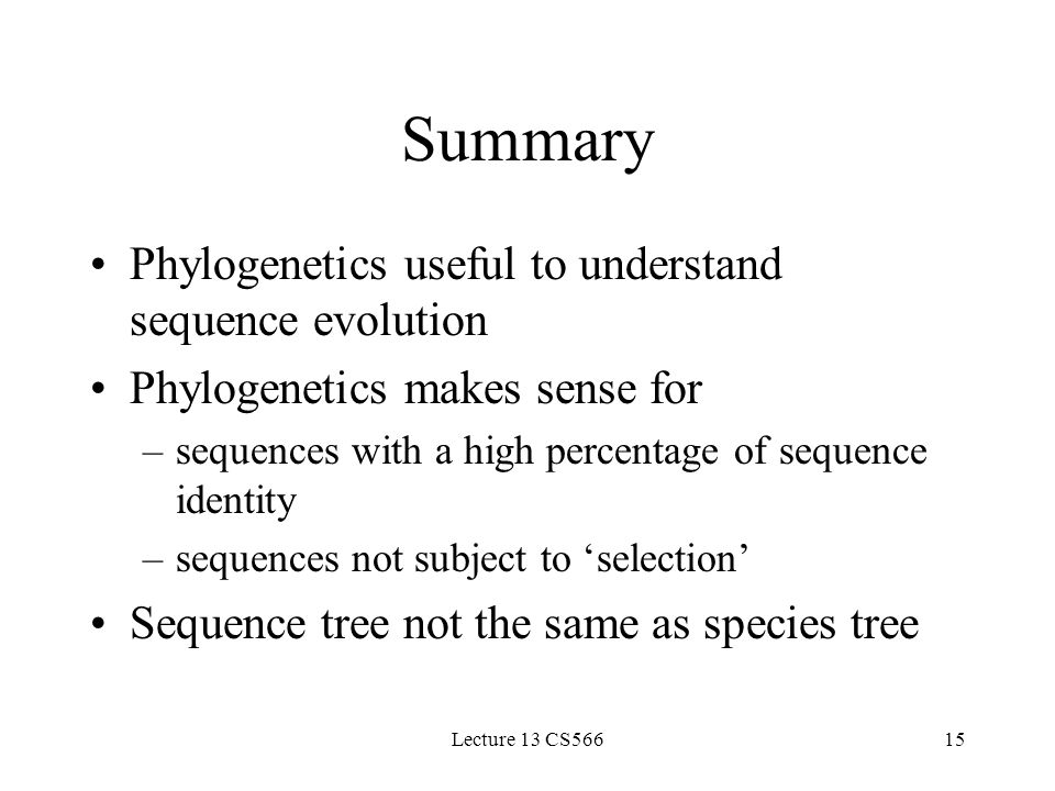Lecture 13 CS56615 Summary Phylogenetics useful to understand sequence evolution Phylogenetics makes sense for –sequences with a high percentage of sequence identity –sequences not subject to ‘selection’ Sequence tree not the same as species tree