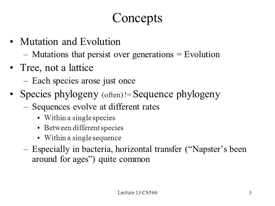 Lecture 13 CS5663 Concepts Mutation and Evolution –Mutations that persist over generations = Evolution Tree, not a lattice –Each species arose just once Species phylogeny (often) != Sequence phylogeny –Sequences evolve at different rates Within a single species Between different species Within a single sequence –Especially in bacteria, horizontal transfer ( Napster’s been around for ages ) quite common