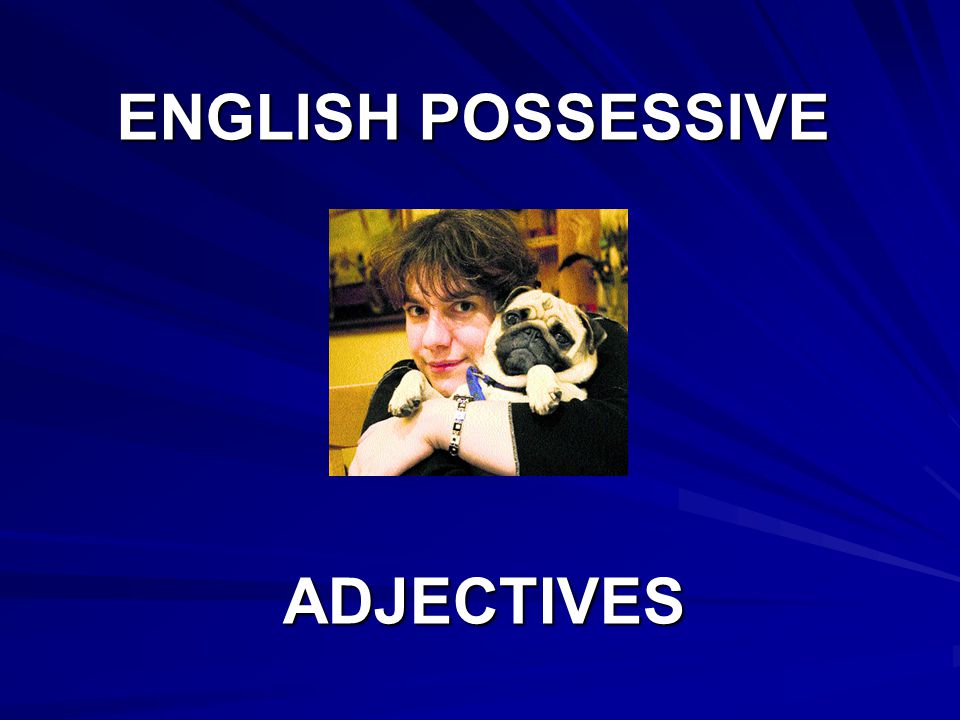 ENGLISH POSSESSIVE ADJECTIVES ADJECTIVES