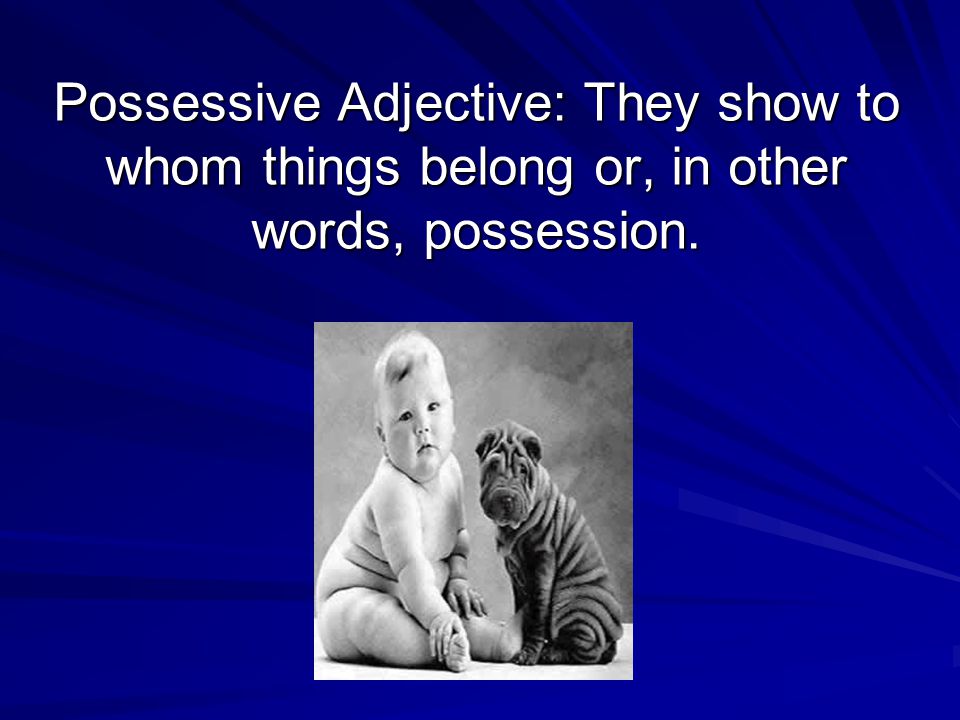 Possessive Adjective: They show to whom things belong or, in other words, possession.