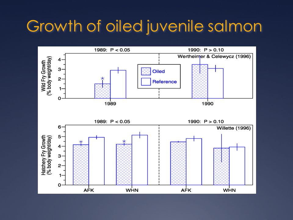 Growth of oiled juvenile salmon