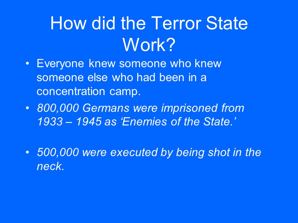 How did the Terror State Work.