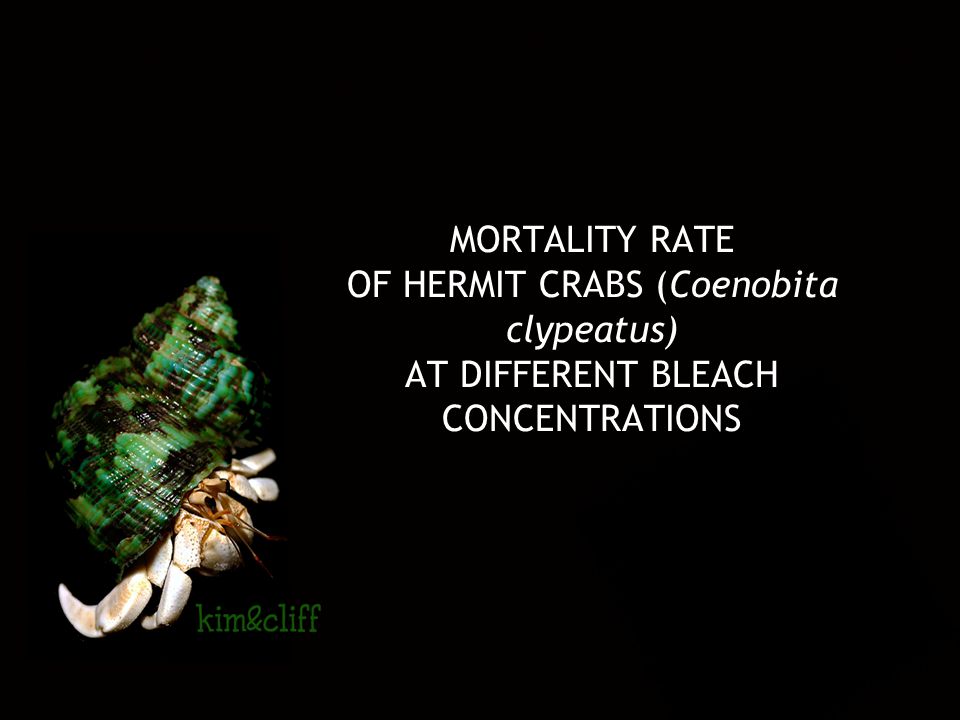 MORTALITY RATE OF HERMIT CRABS (Coenobita clypeatus) AT DIFFERENT BLEACH CONCENTRATIONS