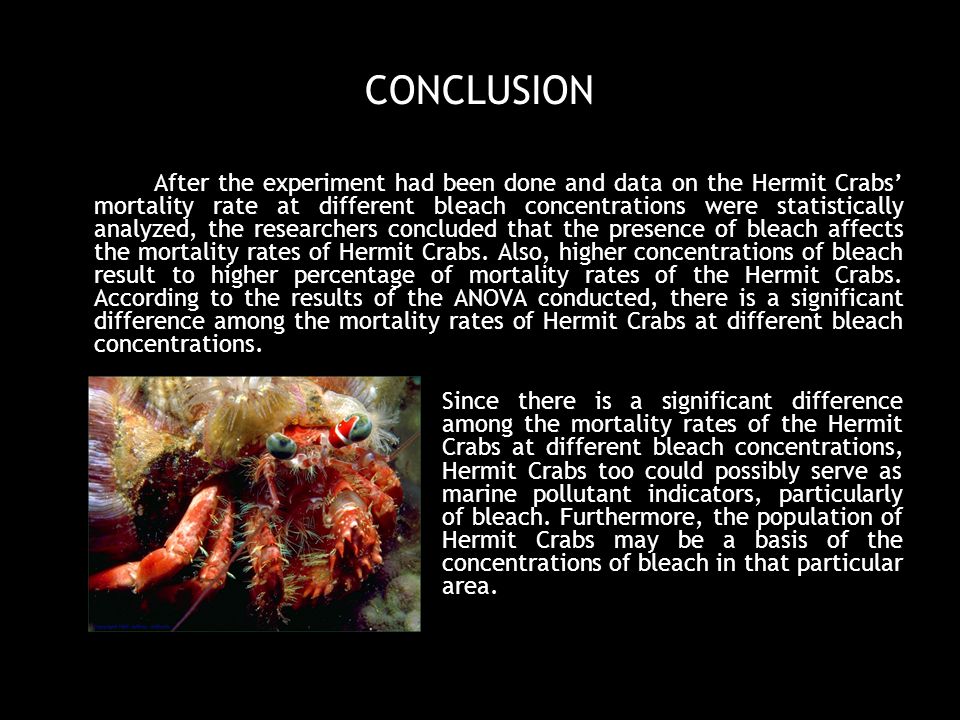 CONCLUSION After the experiment had been done and data on the Hermit Crabs’ mortality rate at different bleach concentrations were statistically analyzed, the researchers concluded that the presence of bleach affects the mortality rates of Hermit Crabs.