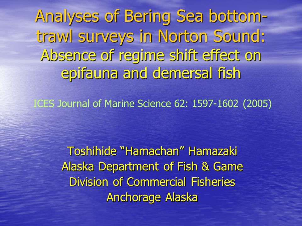 Analyses of Bering Sea bottom- trawl surveys in Norton Sound: Absence of regime shift effect on epifauna and demersal fish Toshihide Hamachan Hamazaki Alaska Department of Fish & Game Division of Commercial Fisheries Anchorage Alaska ICES Journal of Marine Science 62: (2005)