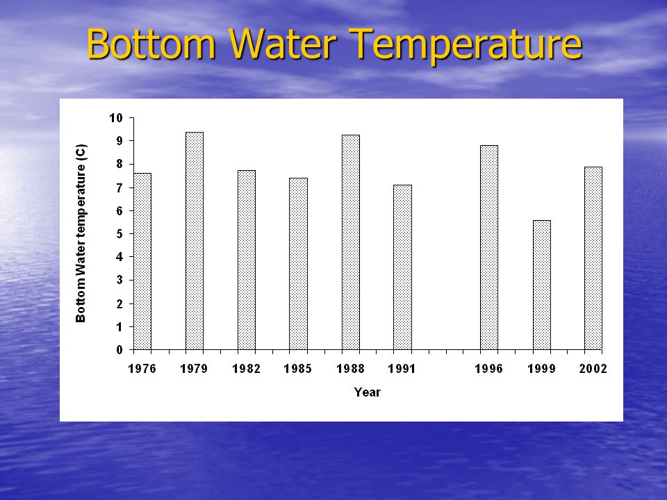 Bottom Water Temperature