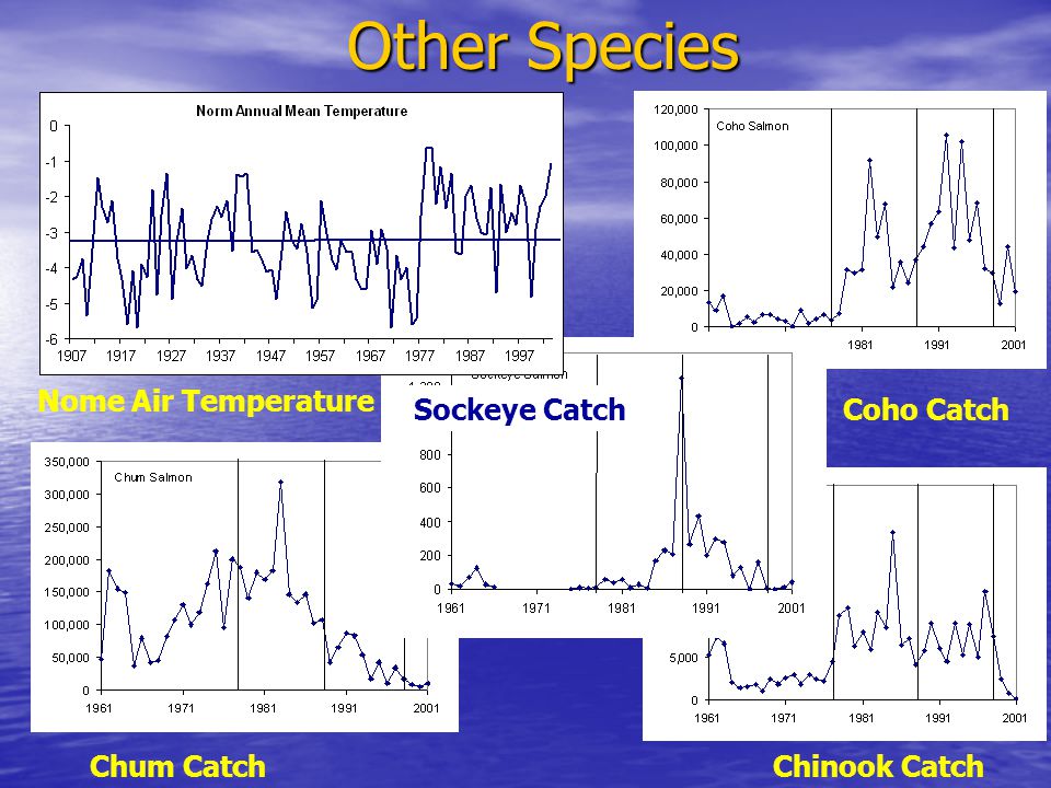 Other Species Nome Air Temperature Coho Catch Chinook CatchChum Catch Sockeye Catch