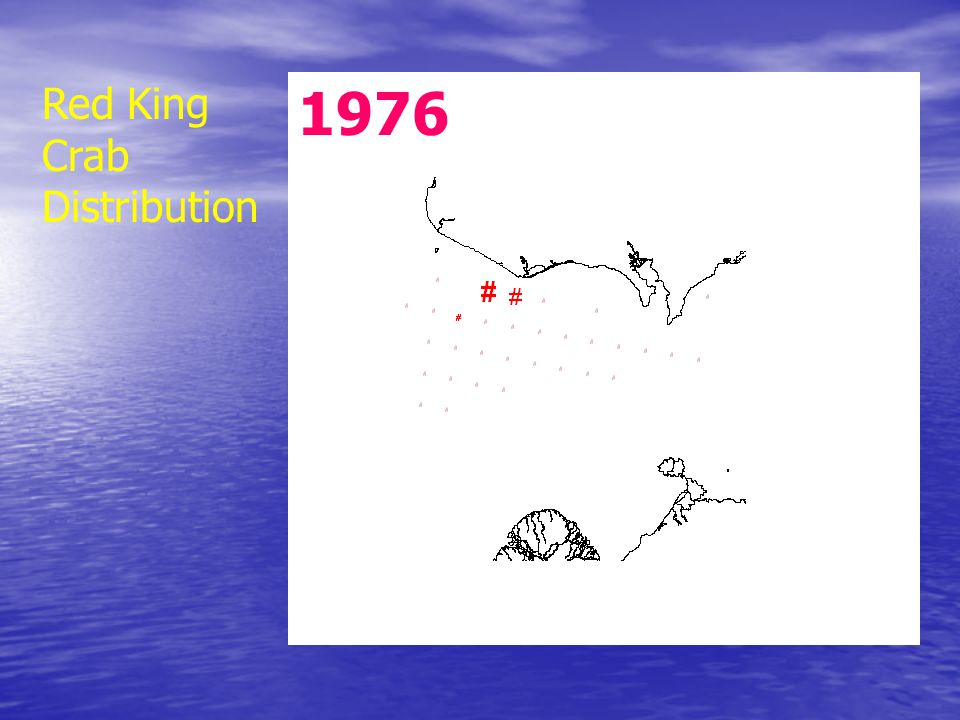 1976 Red King Crab Distribution