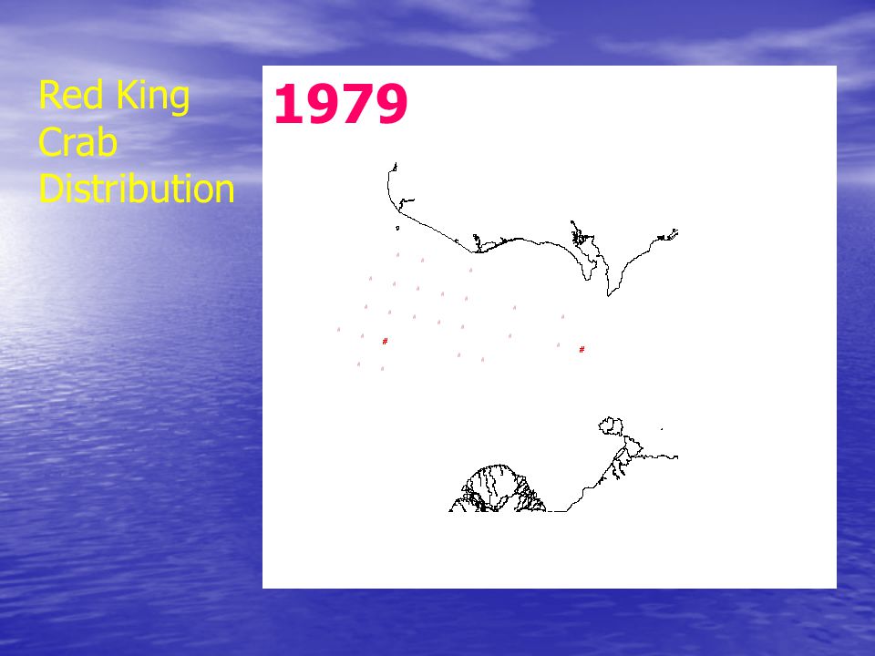 1979 Red King Crab Distribution