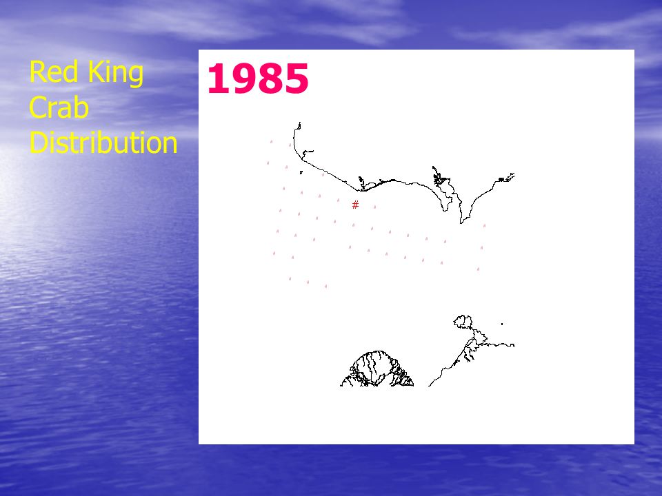 1985 Red King Crab Distribution