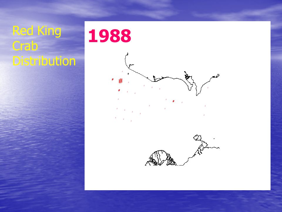 1988 Red King Crab Distribution