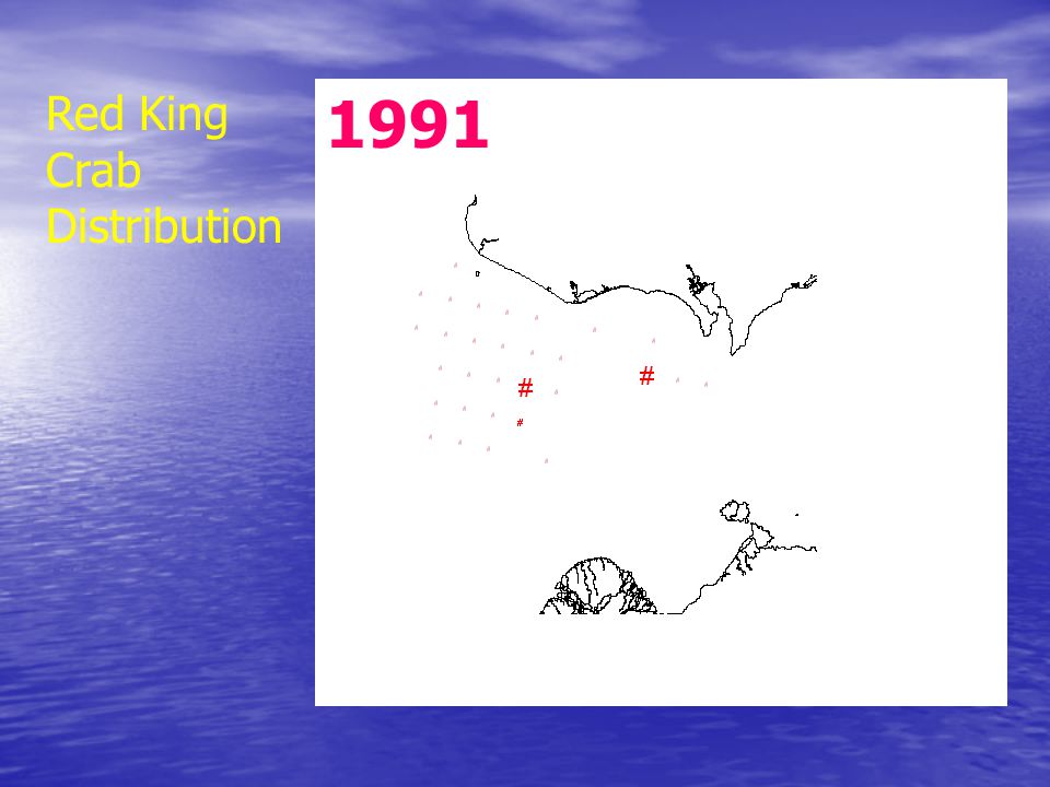 1991 Red King Crab Distribution