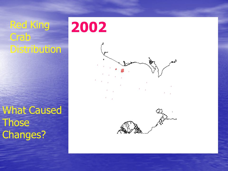 2002 Red King Crab Distribution What Caused Those Changes